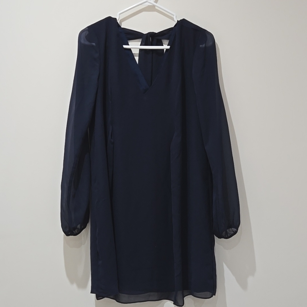 BCBG blue sheer sleeve dress